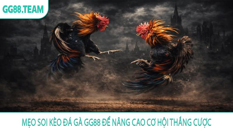 Mẹo soi kèo đá gà GG88 để nâng cao cơ hội thắng cược