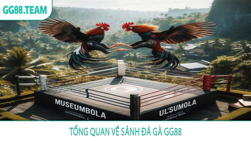 Tổng quan về sảnh đá gà GG88
